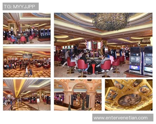 探索澳门威尼斯人平台的独特魅力与体验亮点